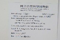 玉山茀蕨藏品圖，第2張