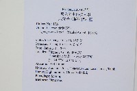 梳葉蕨藏品圖，第2張