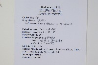 擬芨瓦葦藏品圖，第2張