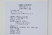 海金沙藏品圖，第2張