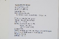 細葉複葉耳蕨藏品圖，第2張