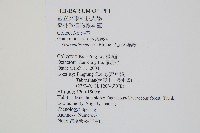 大武禾葉蕨藏品圖，第2張