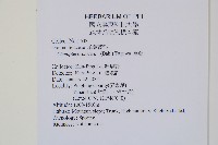 蕗蕨藏品圖，第2張