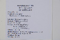 嫩鱗蓋蕨藏品圖，第2張