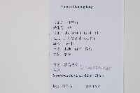 烏蕨藏品圖，第2張