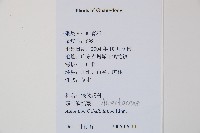 扇葉鐵線蕨藏品圖，第2張