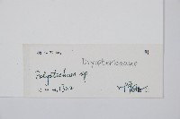 登錄號:P012522藏品圖，第2張