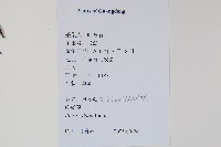 鱗蓋鳳尾蕨藏品圖，第2張