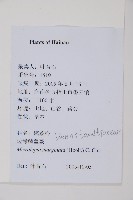 邊緣鱗蓋蕨藏品圖，第2張