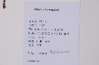 登錄號:P012549藏品圖，第2張