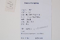 烏蕨藏品圖，第2張