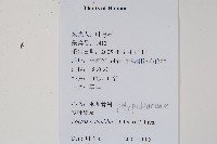 登錄號:P012566藏品圖，第2張