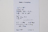 毛葉軸脈蕨藏品圖，第2張