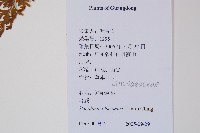 烏蕨藏品圖，第2張