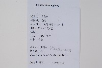 登錄號:P012583藏品圖，第2張