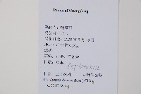 毛葉軸脈蕨藏品圖，第2張