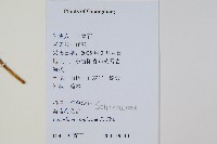 海南海金沙藏品圖，第1張