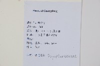 登錄號:P012608藏品圖，第2張