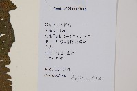 登錄號:P012609藏品圖，第2張