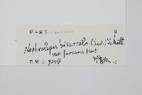 登錄號:P012626藏品圖，第2張