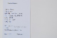 蛇足石杉、千層塔藏品圖，第2張