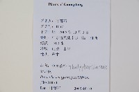 大羽葉新月蕨藏品圖，第1張