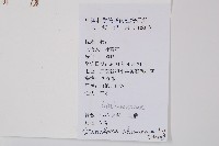 烏蕨藏品圖，第2張