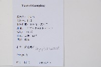 南海鱗毛蕨藏品圖，第2張