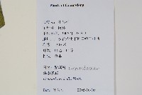 華南紫萁藏品圖，第2張