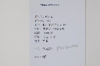 登錄號:P012652藏品圖，第2張