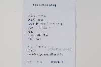 海金沙藏品圖，第2張