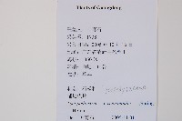 過山龍藏品圖，第2張