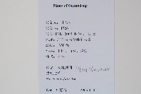 鳳尾蕨藏品圖，第2張