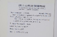 翅軸假金星蕨、短柄卵果蕨藏品圖，第2張