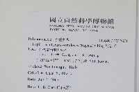 粵瓦葦藏品圖，第2張