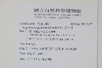 海金沙藏品圖，第2張