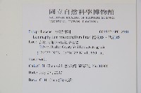 抱樹蕨、伏石蕨藏品圖，第2張