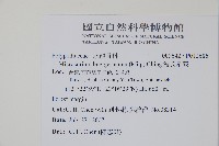 波氏星蕨藏品圖，第2張