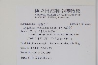 海金沙藏品圖，第2張