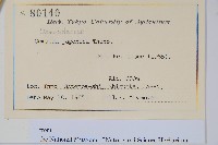 紫萁藏品圖，第2張