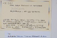 登錄號:P012703藏品圖，第2張