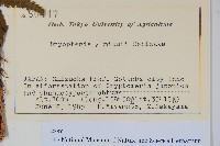 登錄號:P012704藏品圖，第2張