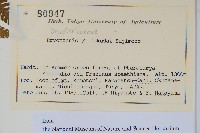 登錄號:P012717藏品圖，第2張