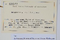 登錄號:P012718藏品圖，第2張