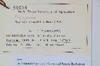 華中瘤足蕨藏品圖，第2張