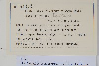 大木賊藏品圖，第2張