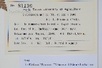 登錄號:P012735藏品圖，第2張