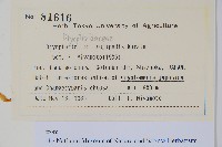 登錄號:P012765藏品圖，第2張