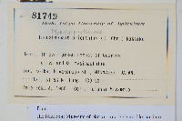 登錄號:P012769藏品圖，第2張