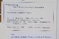 登錄號:P012777藏品圖，第2張